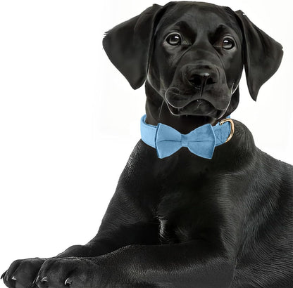 Dog Collars with Bow,Velvet Puppy Collar with Zinc Alloy Safety Buckle, Adjustable Soft Dog Bow Tie Collar, Detachable Breakaway Dog Collar with Metal D-Ring for Small Medium Large Dogs
