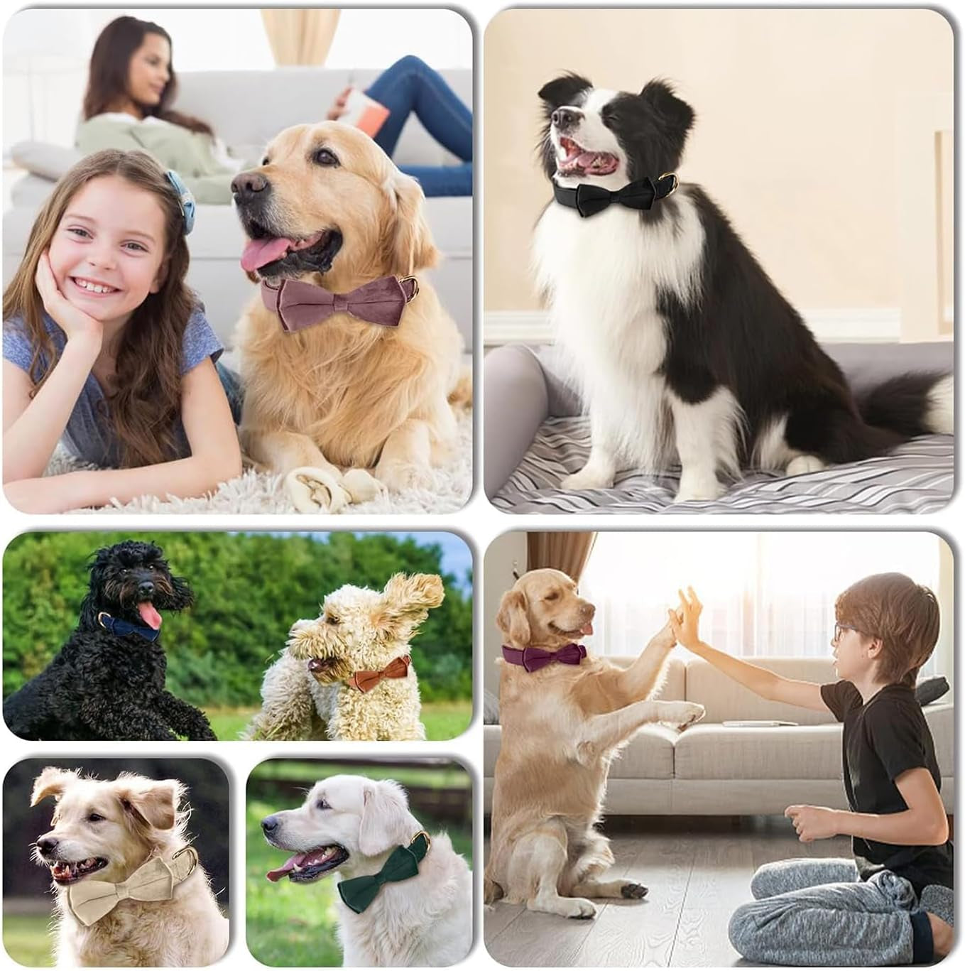Dog Collars with Bow,Velvet Puppy Collar with Zinc Alloy Safety Buckle, Adjustable Soft Dog Bow Tie Collar, Detachable Breakaway Dog Collar with Metal D-Ring for Small Medium Large Dogs