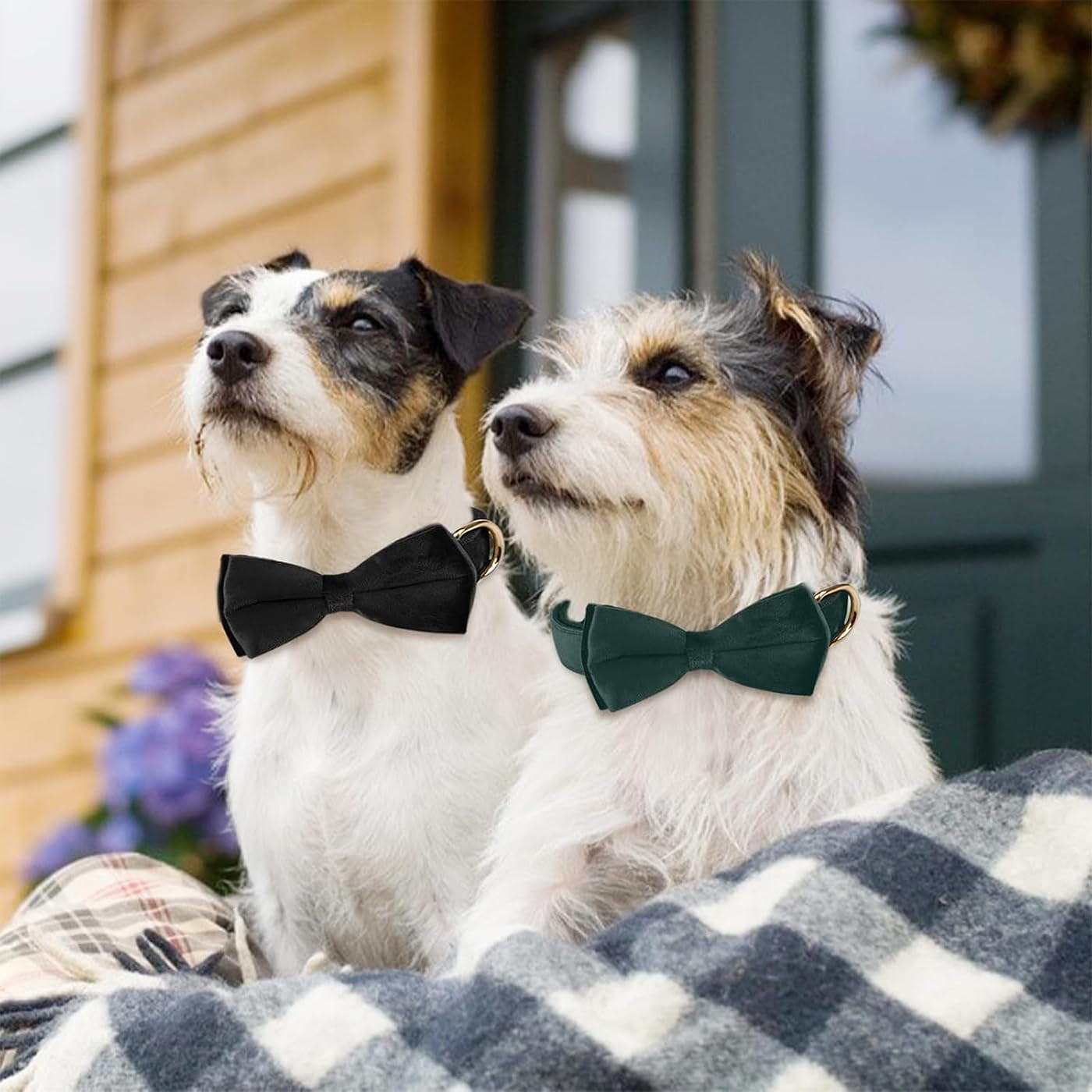 Dog Collars with Bow,Velvet Puppy Collar with Zinc Alloy Safety Buckle, Adjustable Soft Dog Bow Tie Collar, Detachable Breakaway Dog Collar with Metal D-Ring for Small Medium Large Dogs