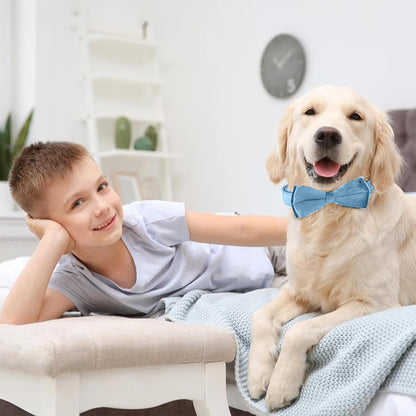 Dog Collars with Bow,Velvet Puppy Collar with Zinc Alloy Safety Buckle, Adjustable Soft Dog Bow Tie Collar, Detachable Breakaway Dog Collar with Metal D-Ring for Small Medium Large Dogs